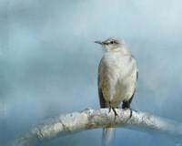 Good Winter Morning Fine Art Print