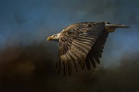 Storm Chaser Bald Eagle Fine Art Print