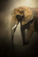 The Elephant Emerges Fine Art Print