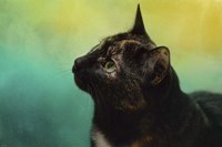 By The Light Of The Sea Fine Art Print