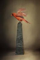 Dancing On Marble Fine Art Print