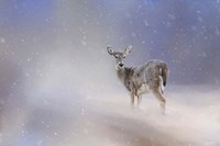 Doe In The Snow Fine Art Print
