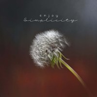 Enjoy Simplicity Fine Art Print