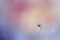 I Wish I Could Fly - Bluebird 1 Fine Art Print