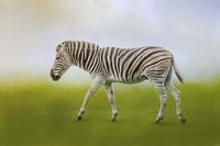 Journey Of The Zebra Fine Art Print