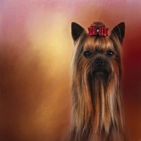 Royal Yorkshire Fine Art Print