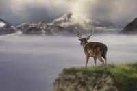 Mountains Out Of Reach Fine Art Print