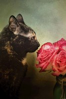 Stop And Smell The Flowers Fine Art Print