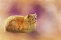 The Warmth Of A Perfect Day Fine Art Print