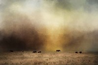 Where The Buffalo Roam Fine Art Print