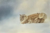 Snow Diving Fine Art Print