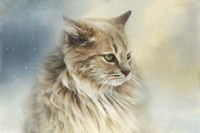 Watching Snow Fall Fine Art Print