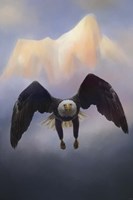 Mountain Flight Fine Art Print