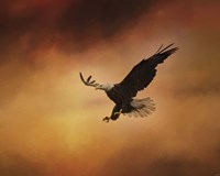 No Fear Fine Art Print