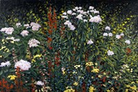 Wildflower Garden Fine Art Print