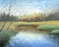 Blue Reflection Fine Art Print