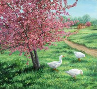 Cherry Blossom Time Fine Art Print