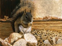 Dinnertime Fine Art Print