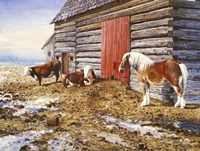 Old Friends 1 Fine Art Print