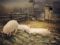 A Lazy Day Fine Art Print