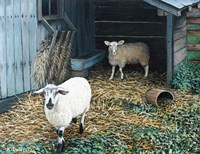 Best Friends Fine Art Print