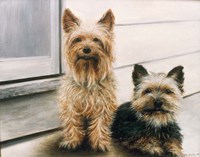 Casey & Clay Fine Art Print