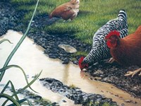 Reflections of Spring Fine Art Print