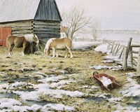 Winter Day Fine Art Print