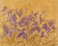 Irises I Fine Art Print