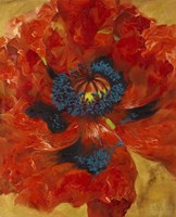 Poppies I Fine Art Print