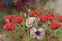 Poppies III Fine Art Print