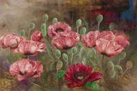 Poppies IV Fine Art Print