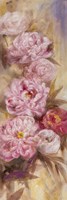 Peonies I Fine Art Print