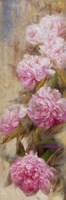 Peonies II Fine Art Print