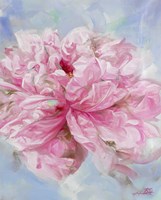 Pink Peonie II Fine Art Print