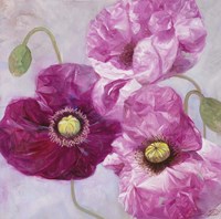 Purple Poppies I Fine Art Print