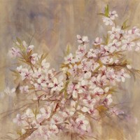 Cherry Blossom I Fine Art Print