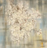 White Cherry Blossom I Fine Art Print