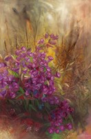 Campanula I Fine Art Print