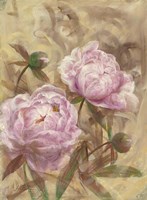 Peony II Fine Art Print