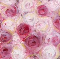 White and Pink Roses Fine Art Print