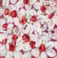 Orange Flame Daffodil Fine Art Print