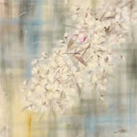White Cherry Blossom II Fine Art Print