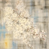White Cherry Blossom III Fine Art Print