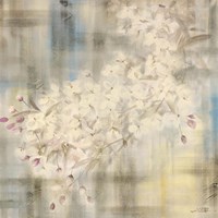 White Cherry Blossom IV Fine Art Print