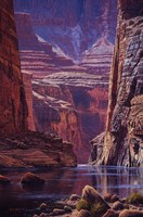 Higher Light Fine Art Print