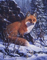 Audible Hush Fine Art Print