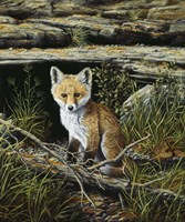 Anticipation Fine Art Print