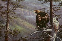 Private Eye Fine Art Print