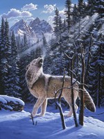 In The Still Of The Tetons Fine Art Print